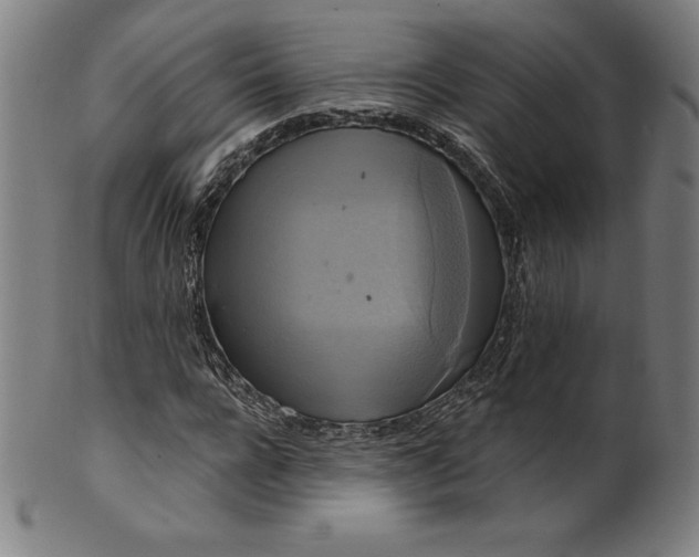 X0000099950920200806061539