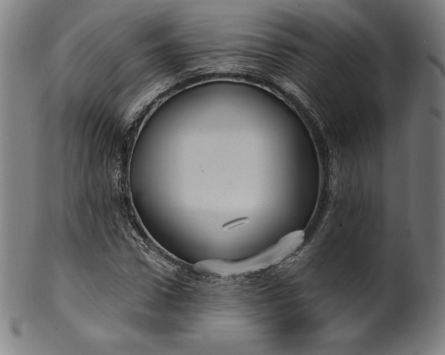 X0000099950922200806061539