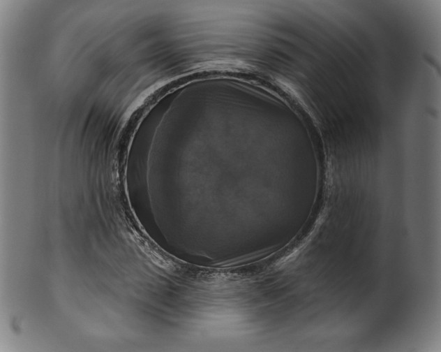 X0000099950923200806061539