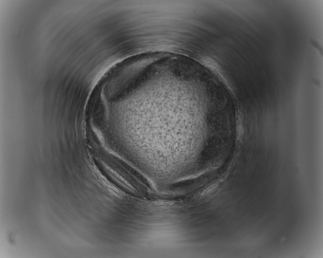 X0000099950924200806061539