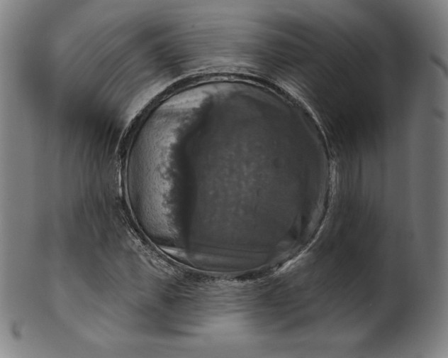 X0000099950925200806061539