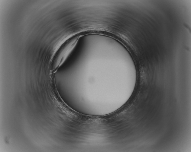 X0000099950926200806061539