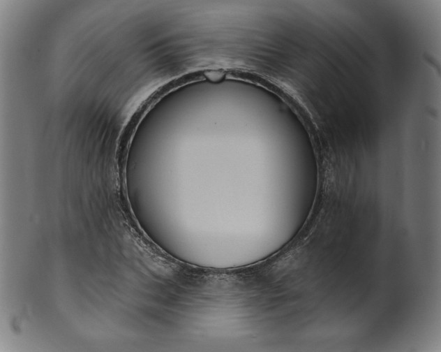 X0000099950927200806061539