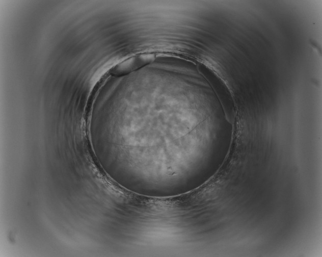 X0000099950928200806061539