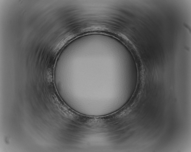 X0000099950929200806061539