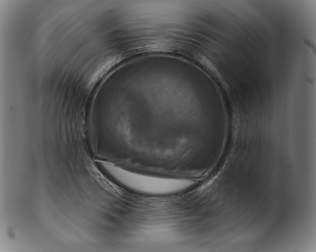 X0000099950930200806061539