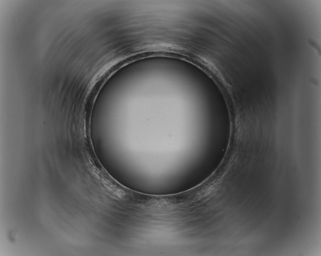 X0000099950931200806061539