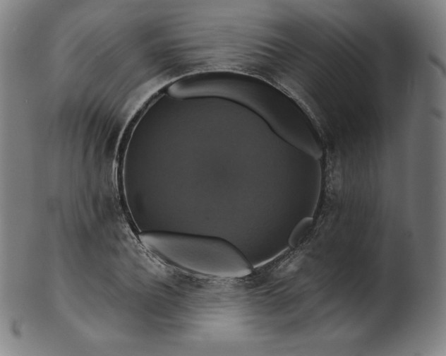 X0000099950932200806061539