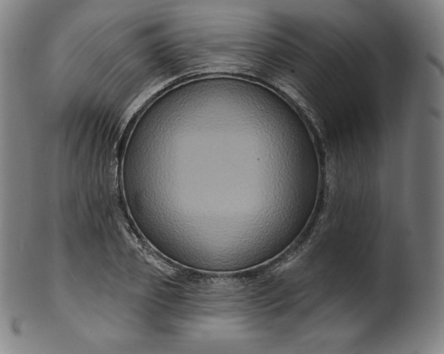 X0000099950933200806061539