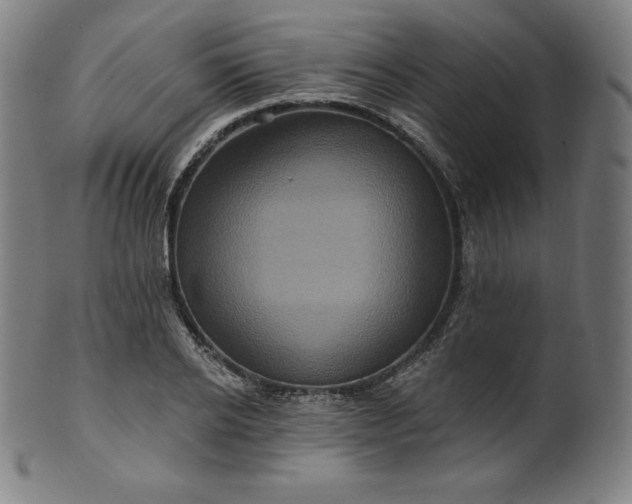 X0000099950934200806061539