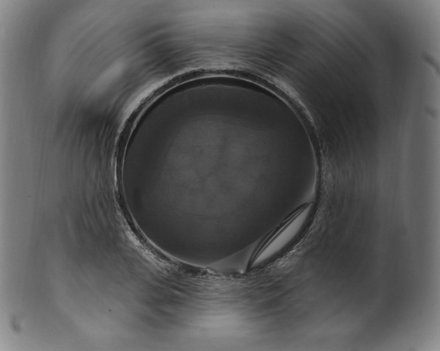 X0000099950935200806061539