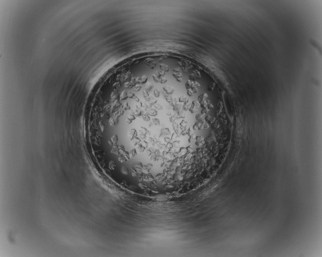 X0000099950936200806061539