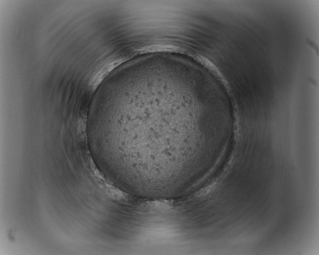 X0000099950937200806061539