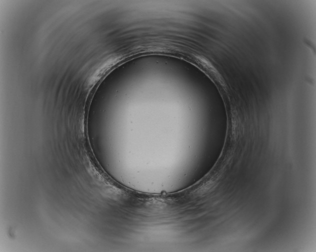 X0000099950938200806061539