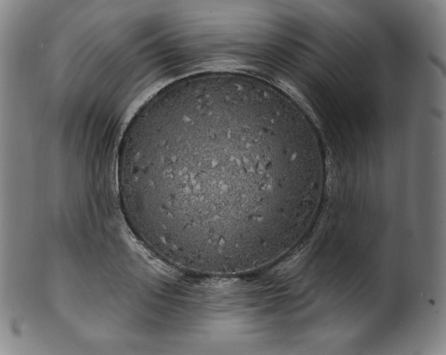 X0000099950939200806061539