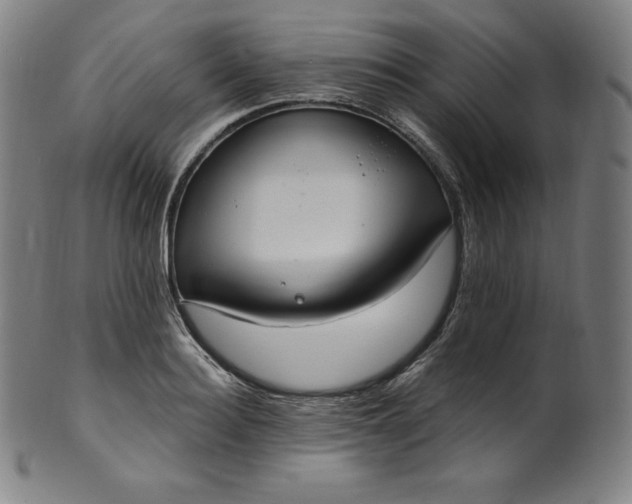 X0000099950940200806061539