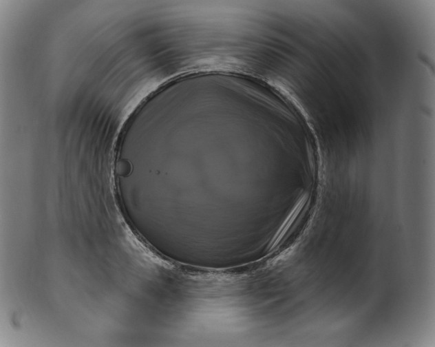 X0000099950941200806061539