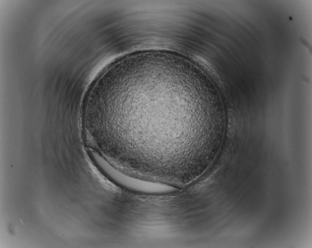 X0000099950942200806061539