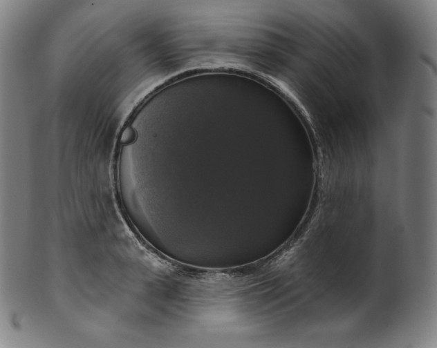 X0000099950943200806061539