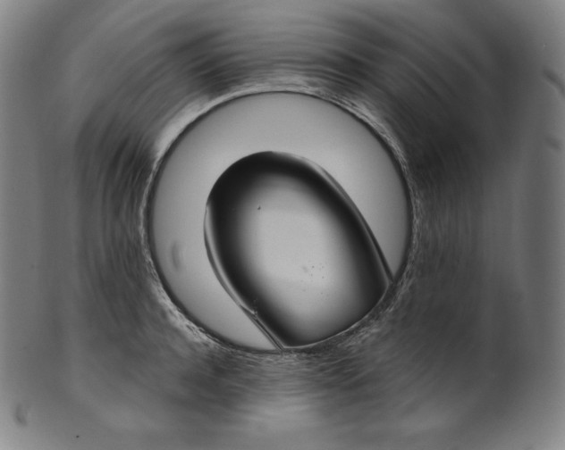 X0000099950944200806061539