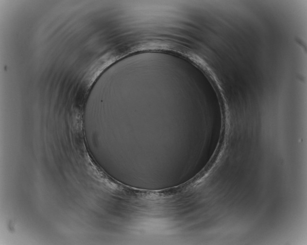 X0000099950945200806061539