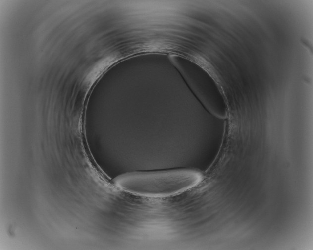 X0000099950946200806061539