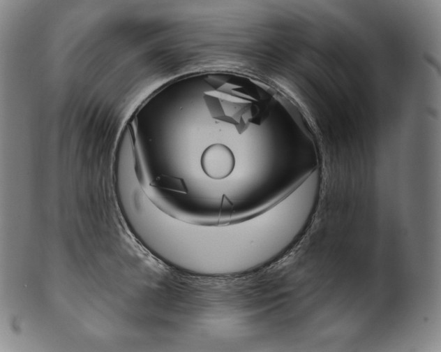 X0000099950948200806061539