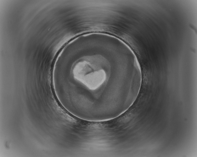 X0000099950950200806061539