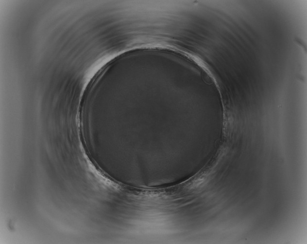 X0000099950951200806061539