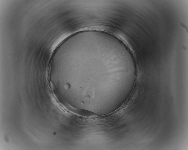 X0000099950952200806061539