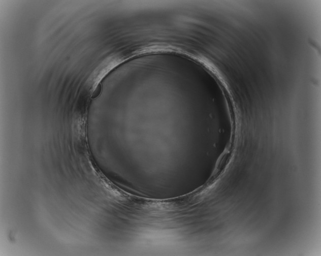 X0000099950953200806061539