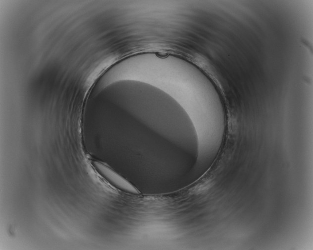 X0000099950954200806061539