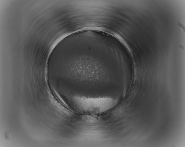 X0000099950955200806061539