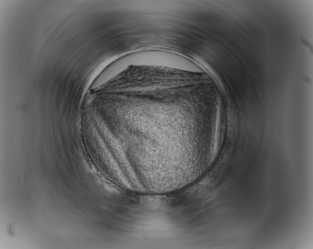 X0000099950956200806061539