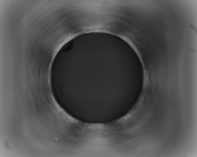 X0000099950957200806061539