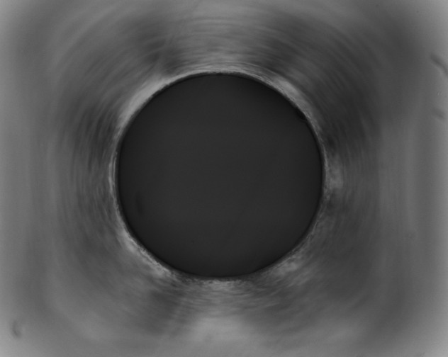 X0000099950958200806061539