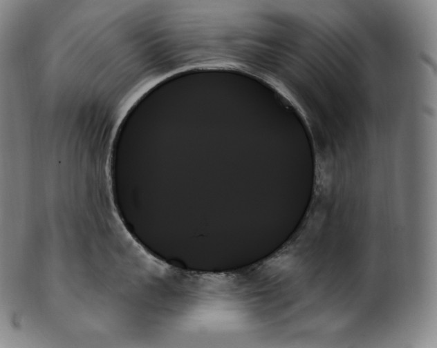 X0000099950959200806061539