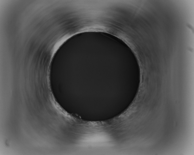 X0000099950960200806061539