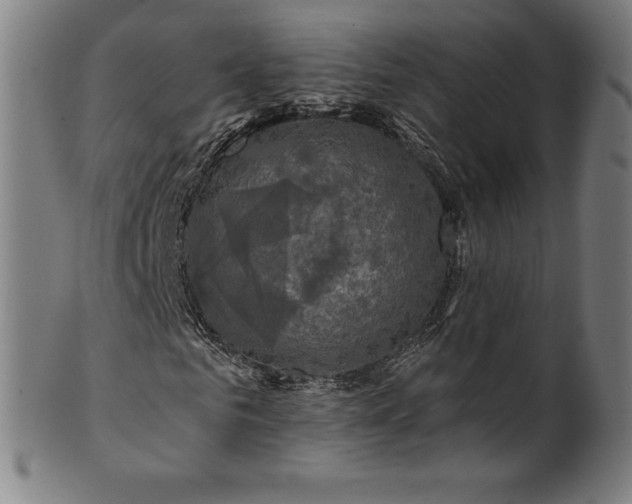 X0000099950961200806061538