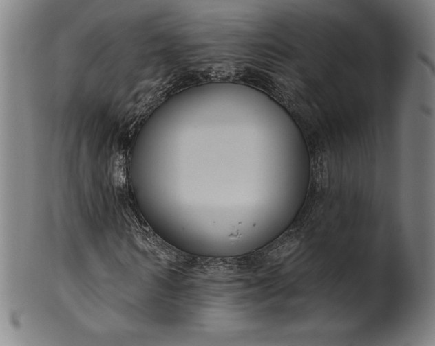 X0000099950962200806061538