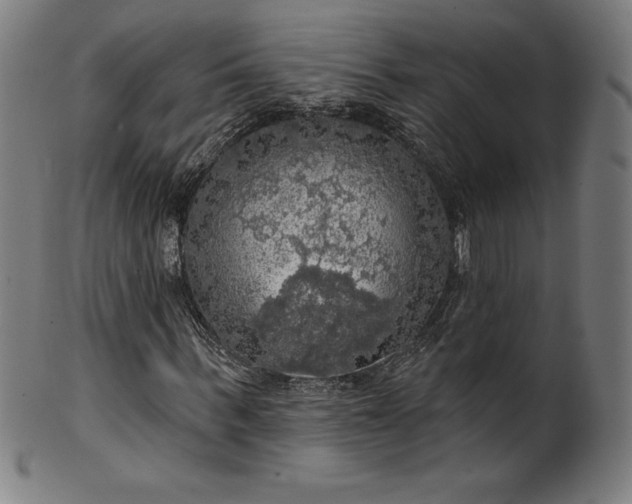 X0000099950963200806061538