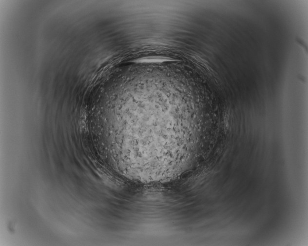 X0000099950964200806061538