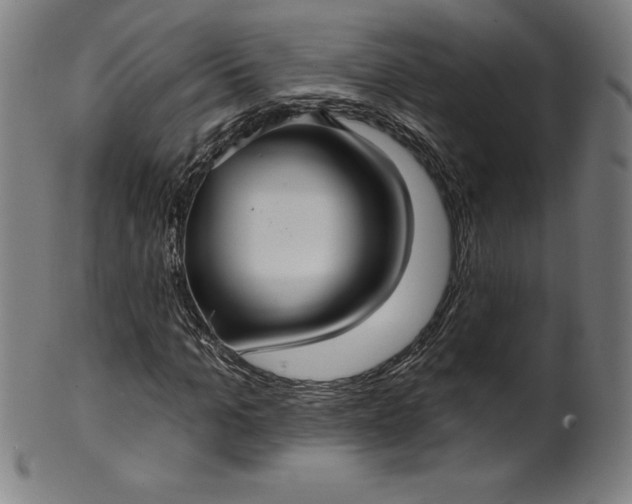 X0000099950965200806061538