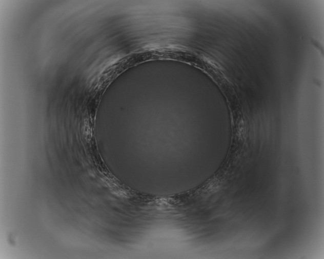 X0000099950966200806061538