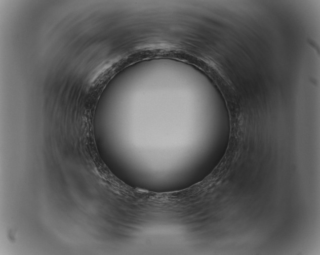 X0000099950967200806061538