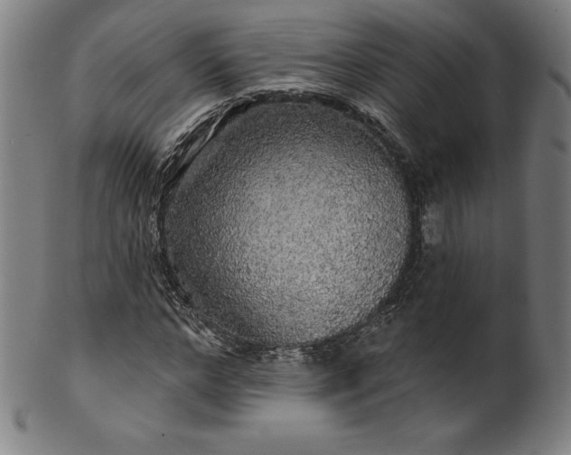 X0000099950968200806061538