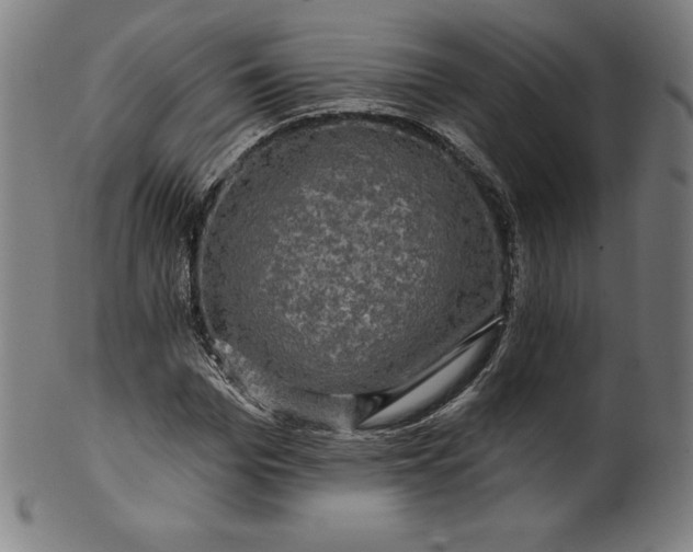 X0000099950969200806061538