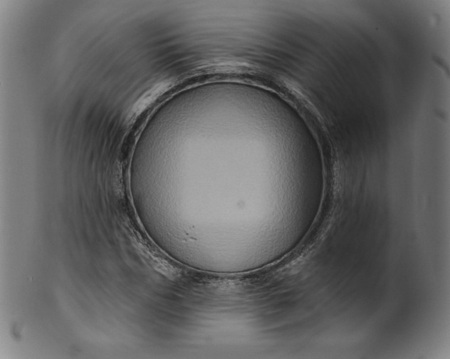 X0000099950970200806061538