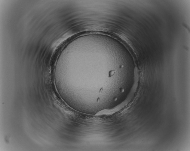 X0000099950971200806061538