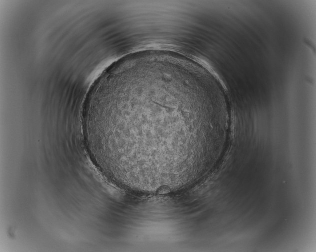 X0000099950972200806061538